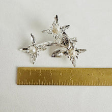 Load image into Gallery viewer, Stacey Clip